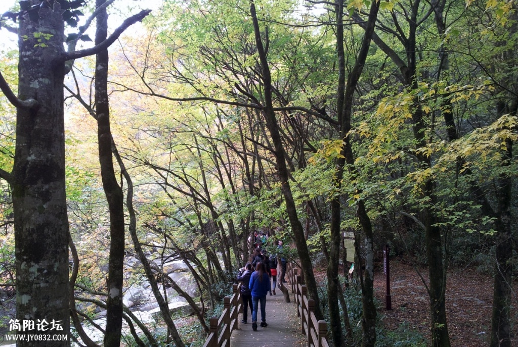 20131019_092607.jpg