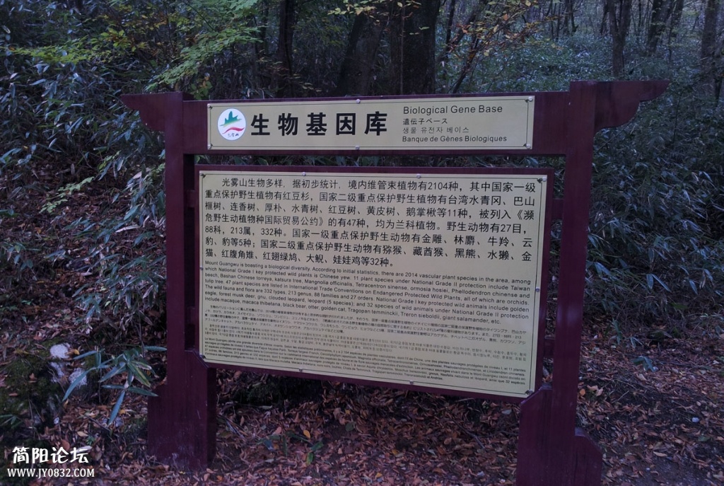 20131019_092632.jpg
