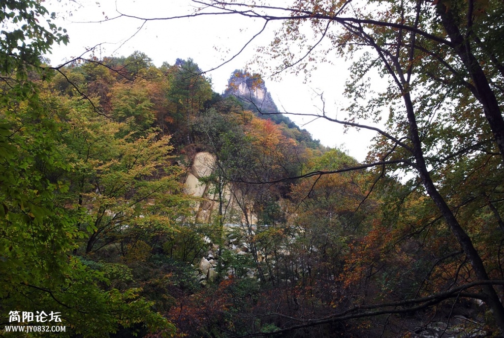 20131019_093016.jpg