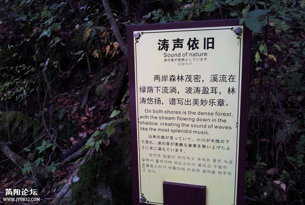 20131019_093158.jpg