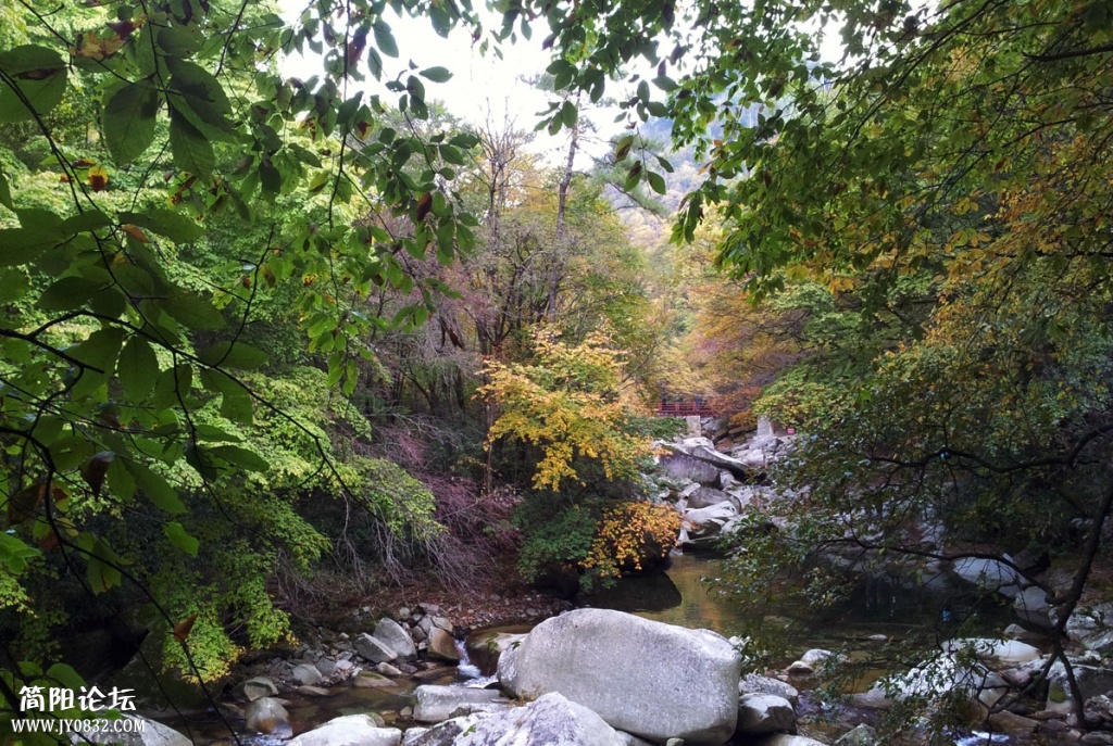 20131019_093927.jpg