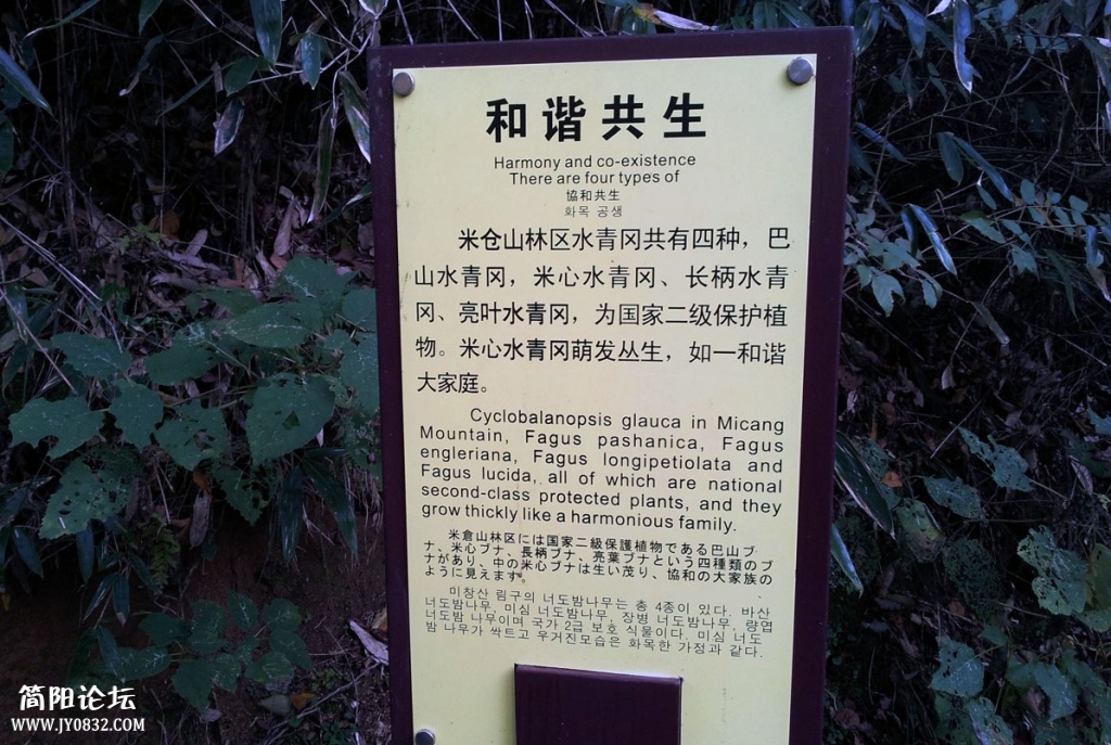 20131019_094019.jpg