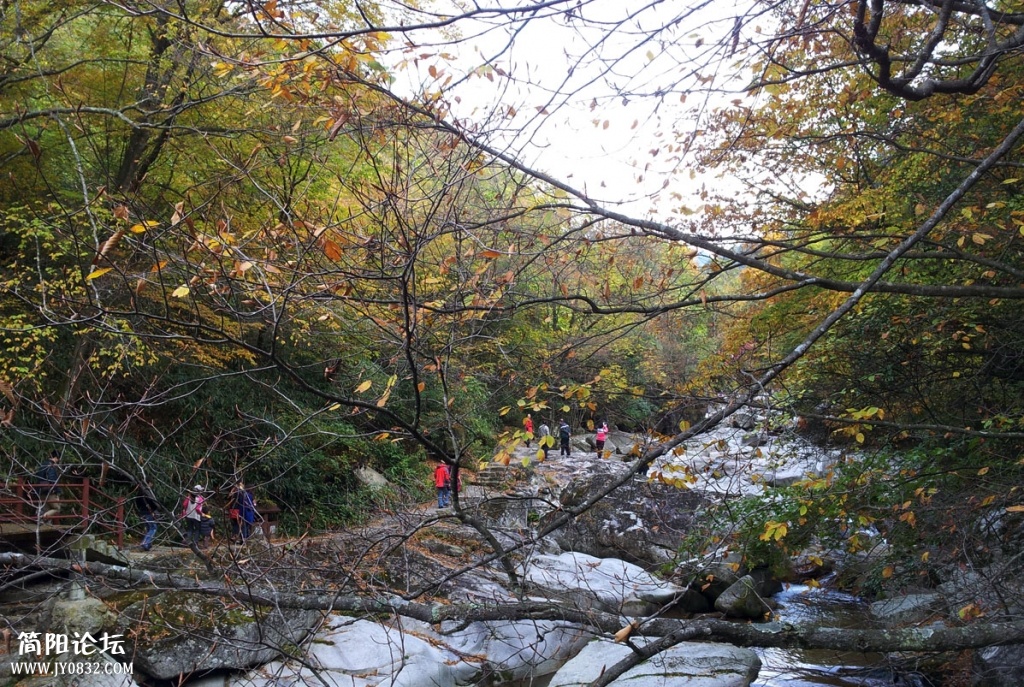 20131019_094309.jpg