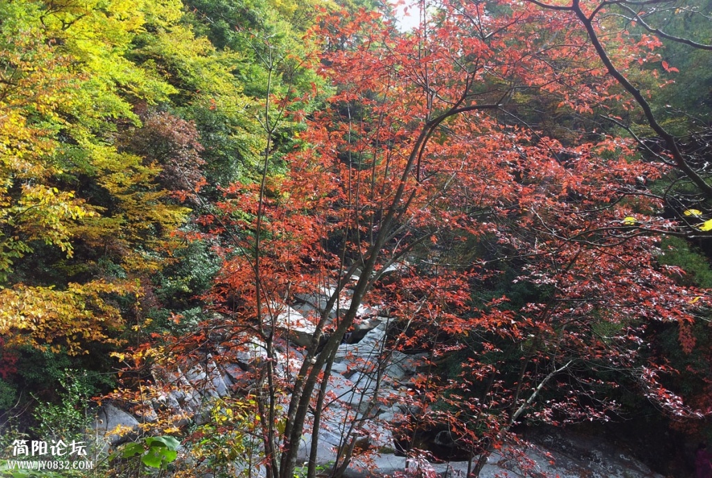 20131019_095313.jpg