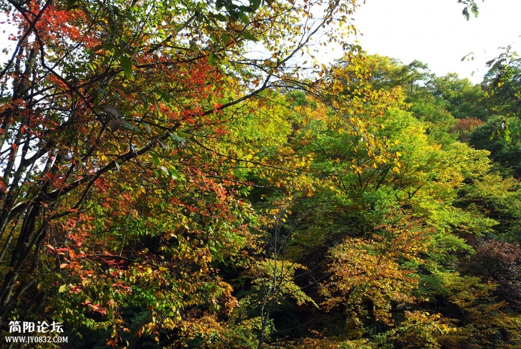 20131019_095329.jpg