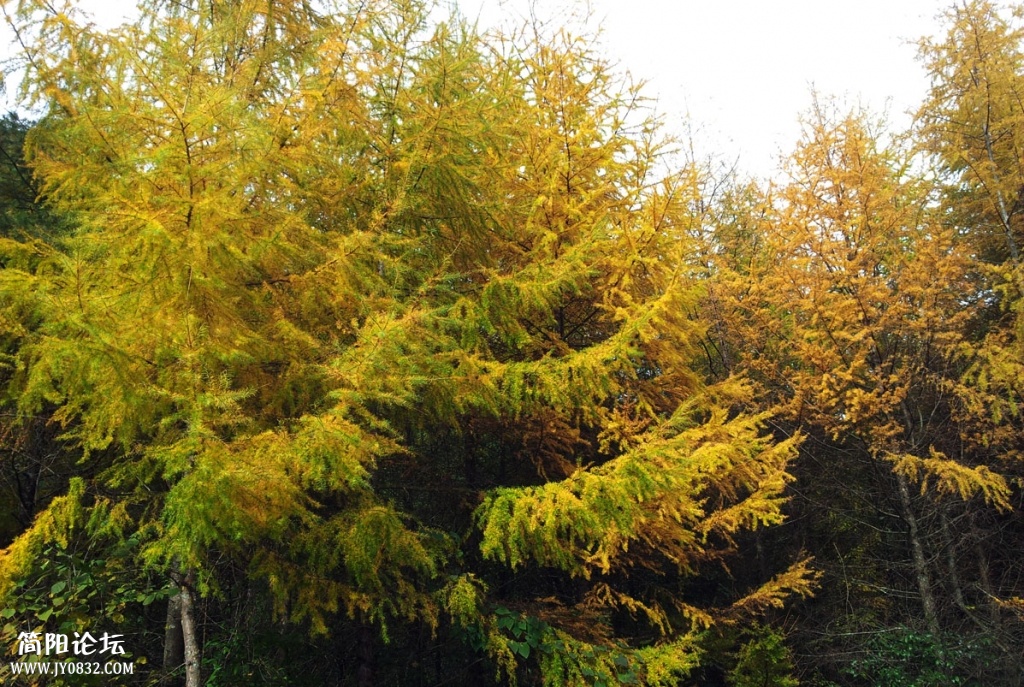 20131019_100103.jpg