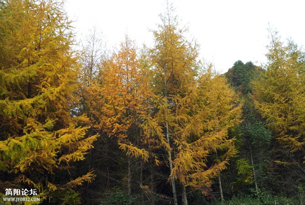 20131019_100109.jpg