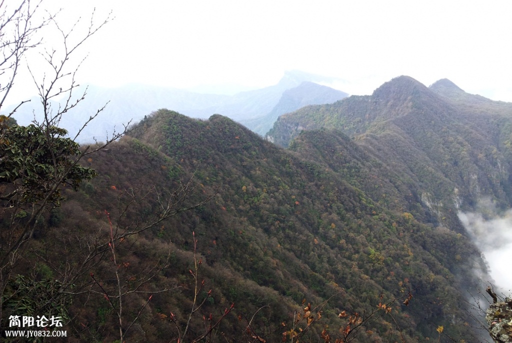 20131019_110858.jpg