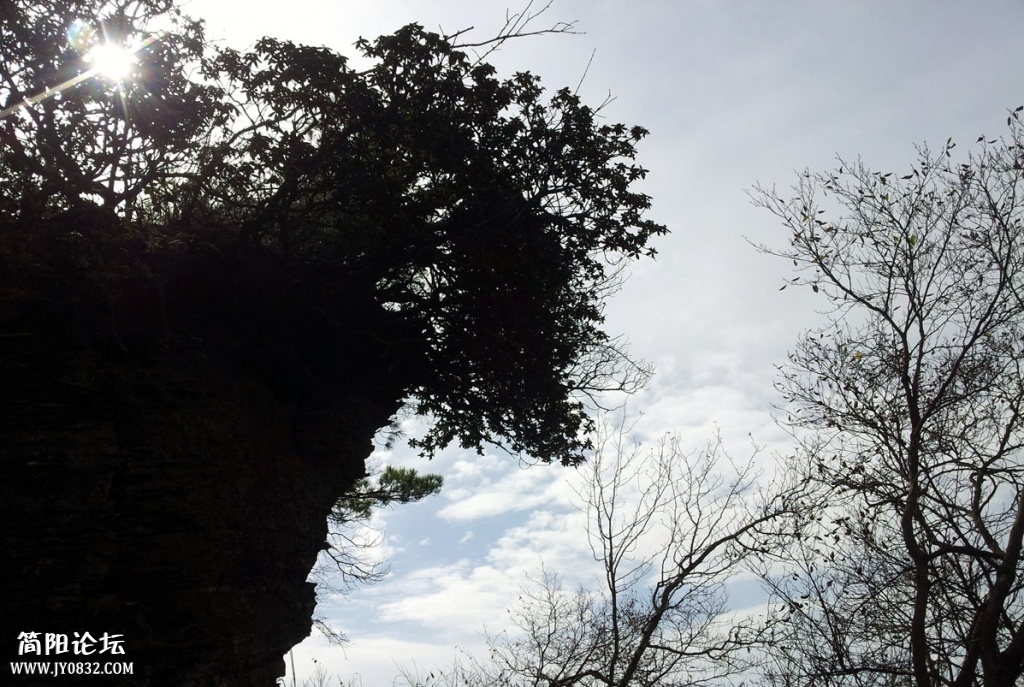 20131019_113434.jpg