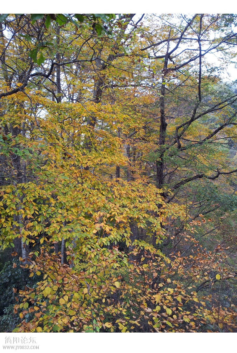 20131019_143553.jpg
