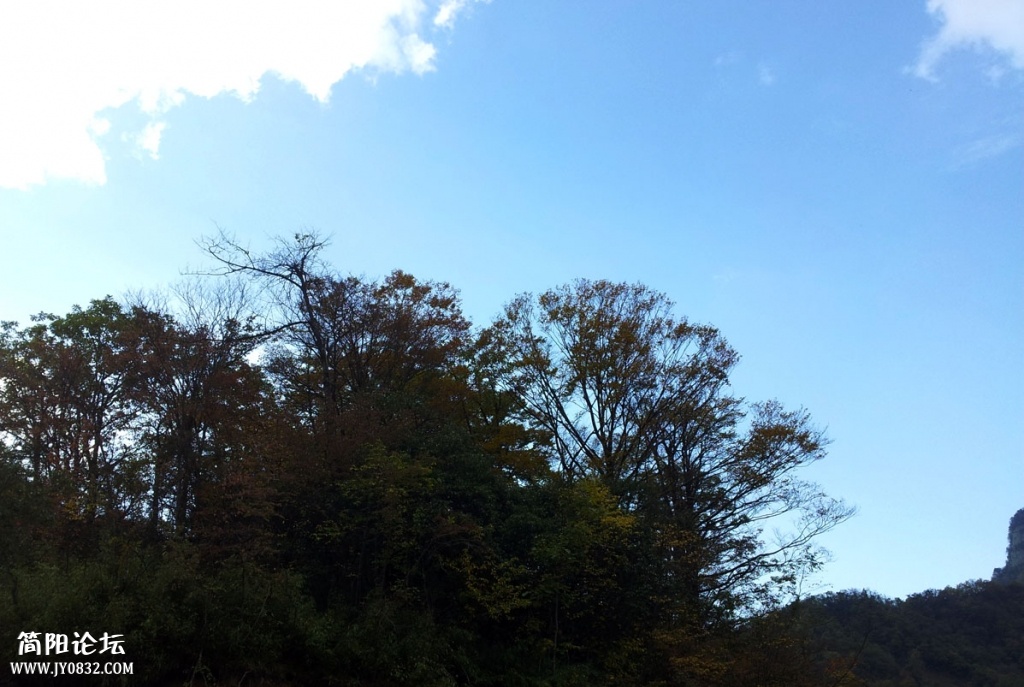 20131019_144645.jpg