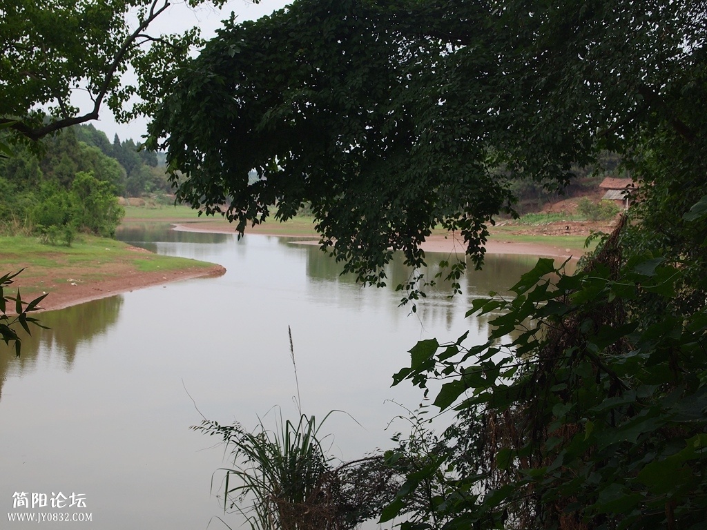 P4305417.jpg