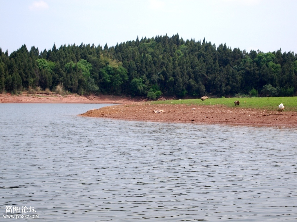 P4305597.jpg