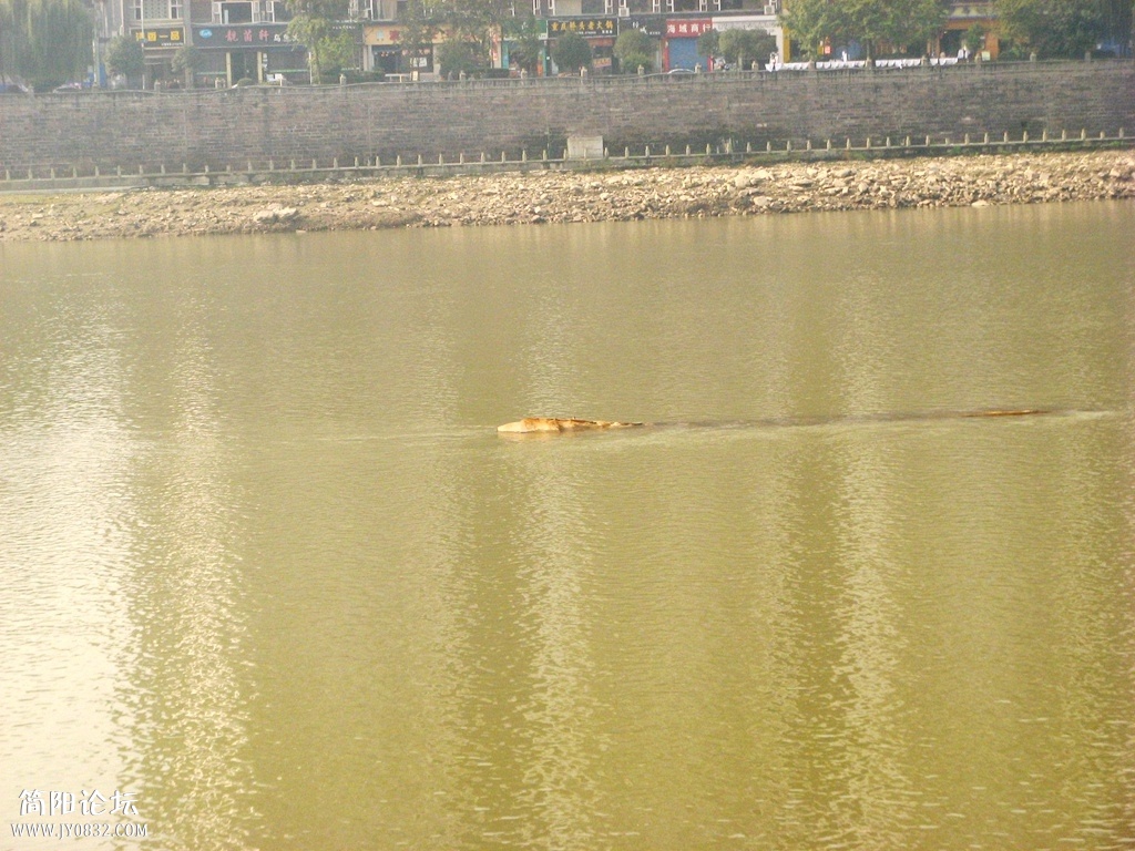 IMG_8937.JPG