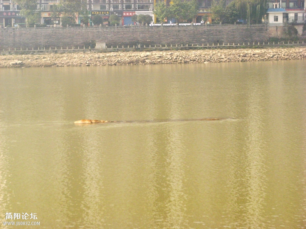 IMG_8934.JPG