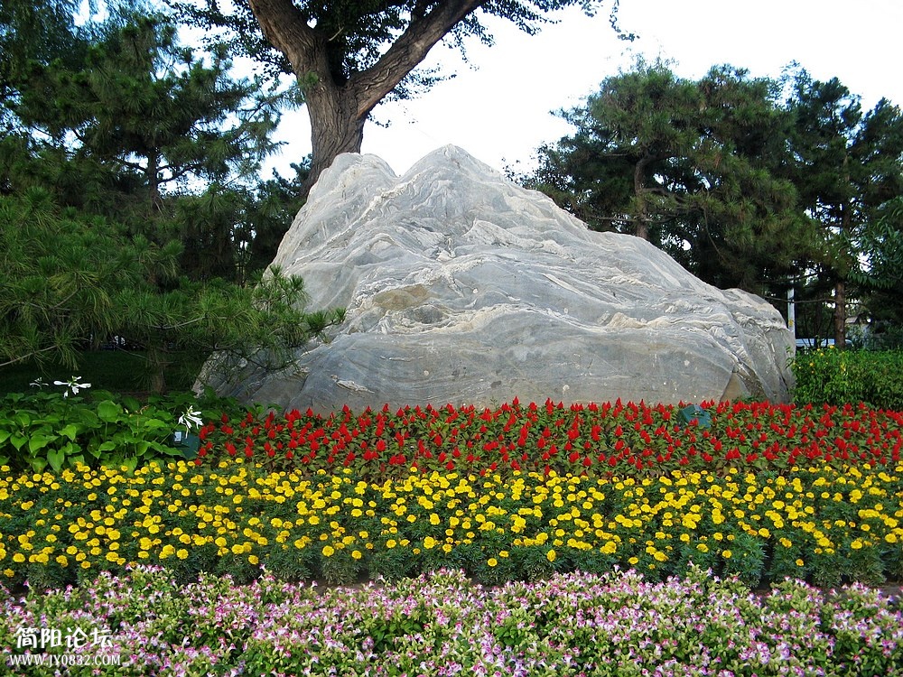 IMG_8377.jpg