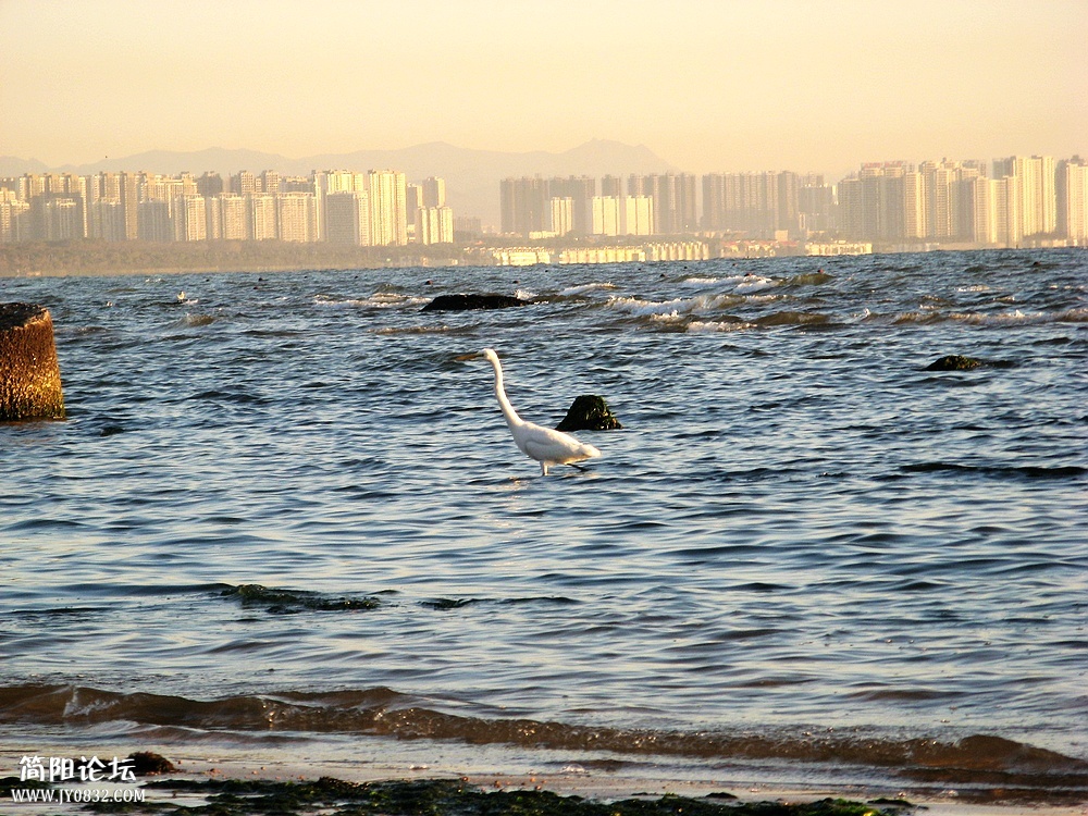 IMG_7199.jpg