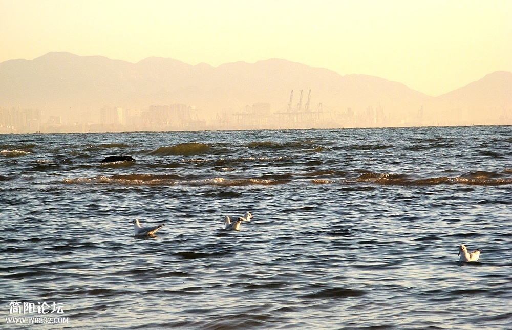 IMG_7200.jpg