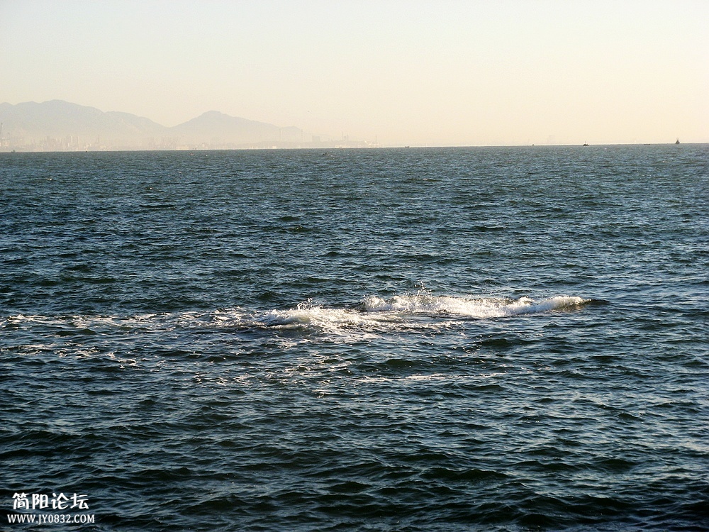 IMG_7229.jpg