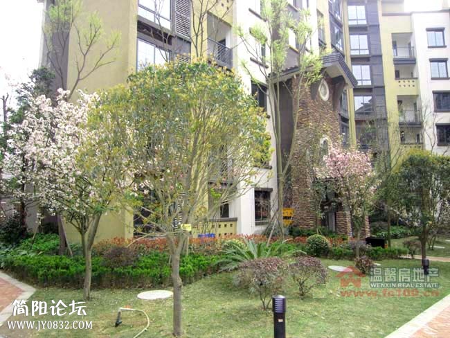 小区3.jpg