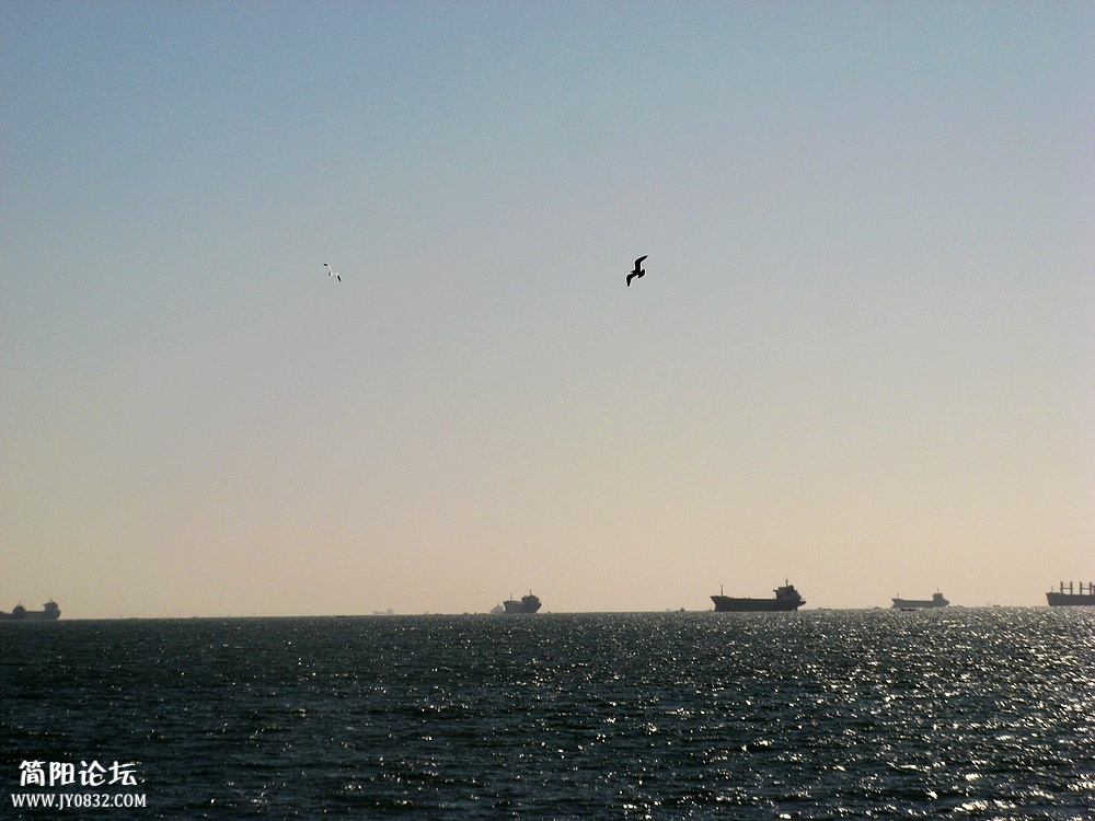 IMG_7299.jpg