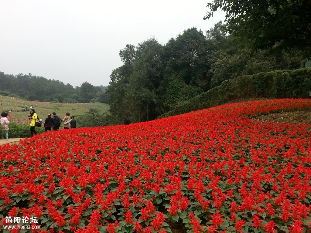 20131020_130912.jpg