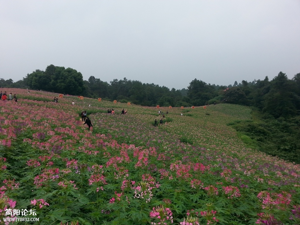 20131020_131742.jpg