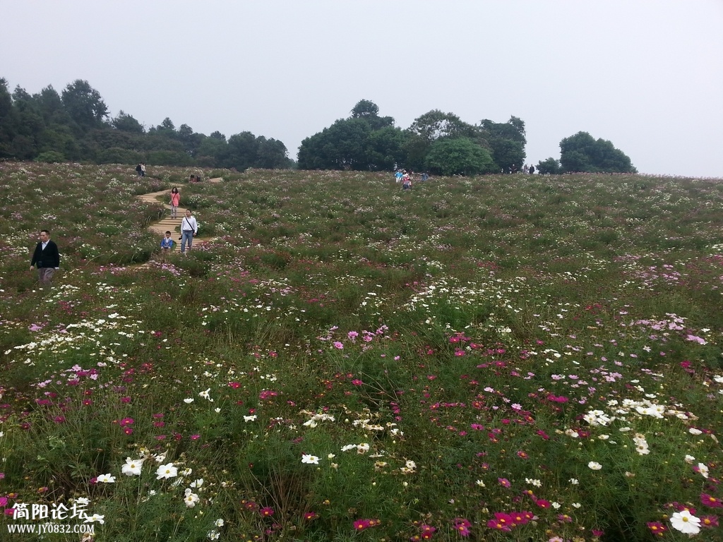 20131020_133452.jpg