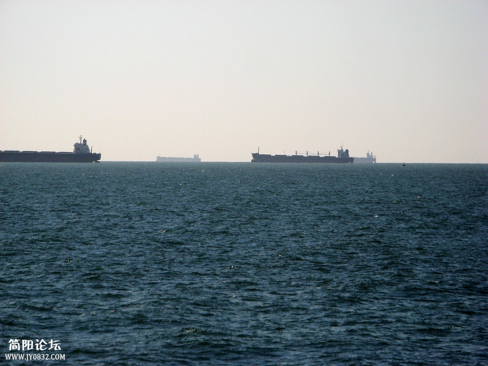 IMG_7315.jpg
