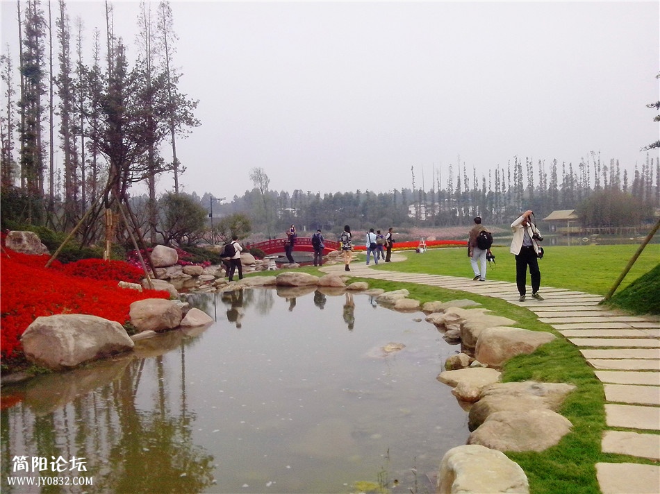 IMG_20131027_162814.jpg