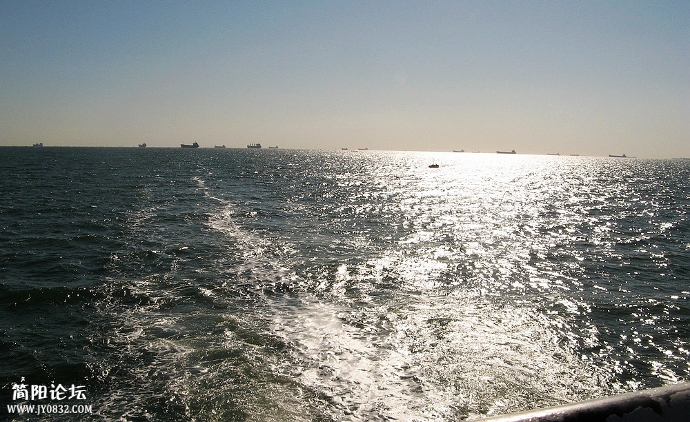 IMG_7322.jpg