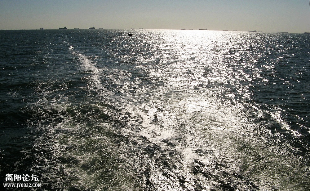 IMG_7323.jpg