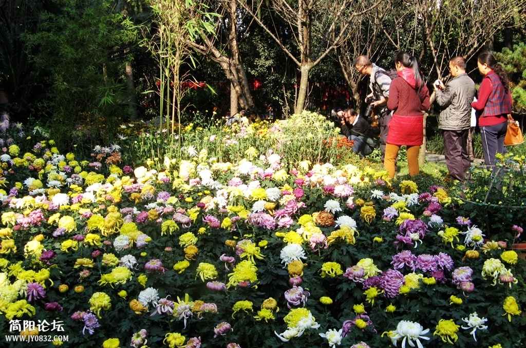 IMG_8980.JPG