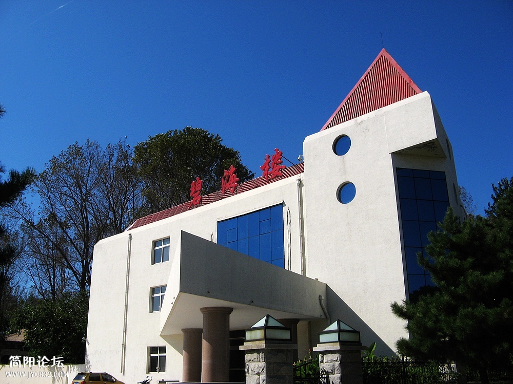IMG_7382.jpg