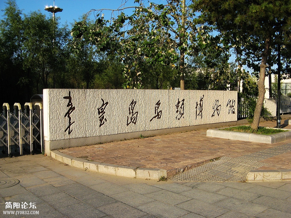 IMG_7424.jpg