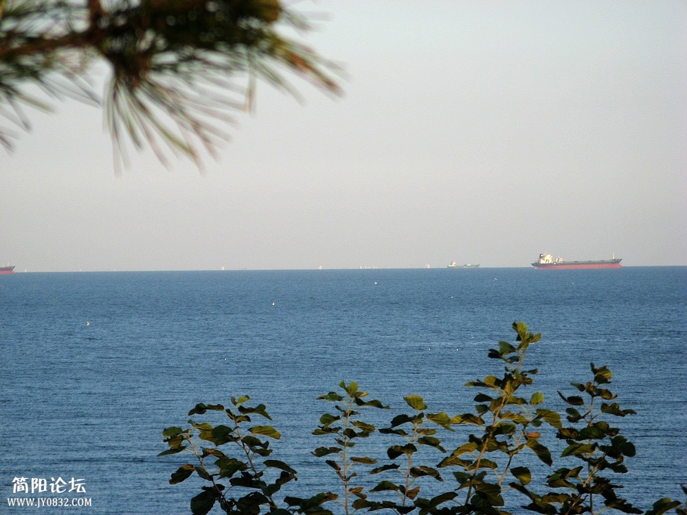 IMG_7447.jpg