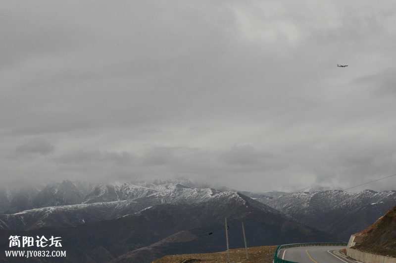 DSC_0041.jpg