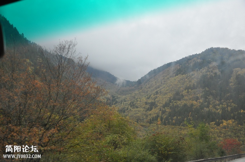 DSC_0087.jpg