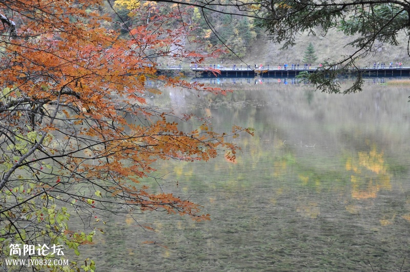 DSC_0117.jpg