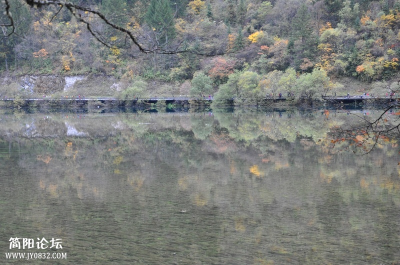 DSC_0118.jpg