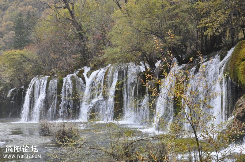 DSC_0132.jpg