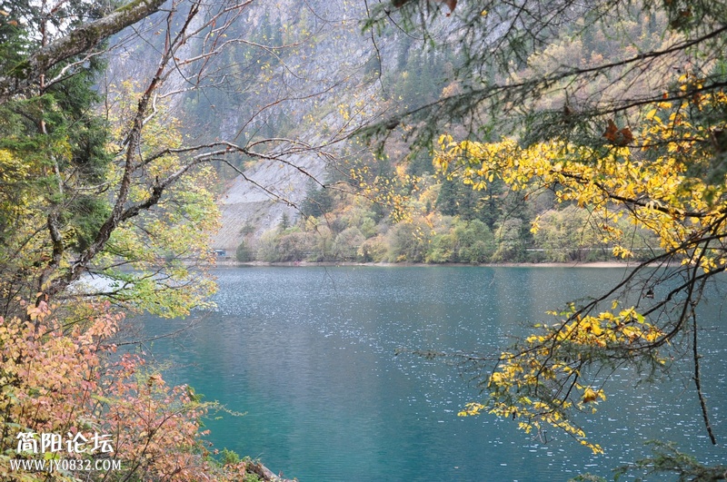 DSC_0154.jpg