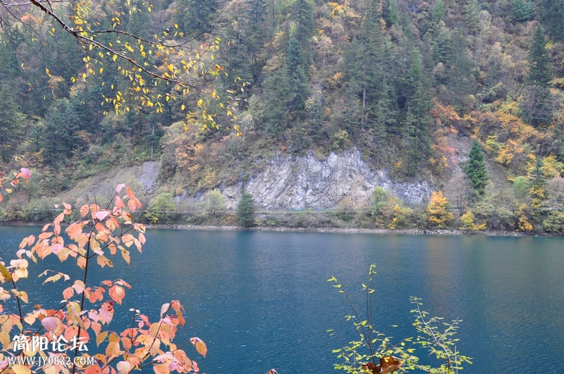 DSC_0157.jpg