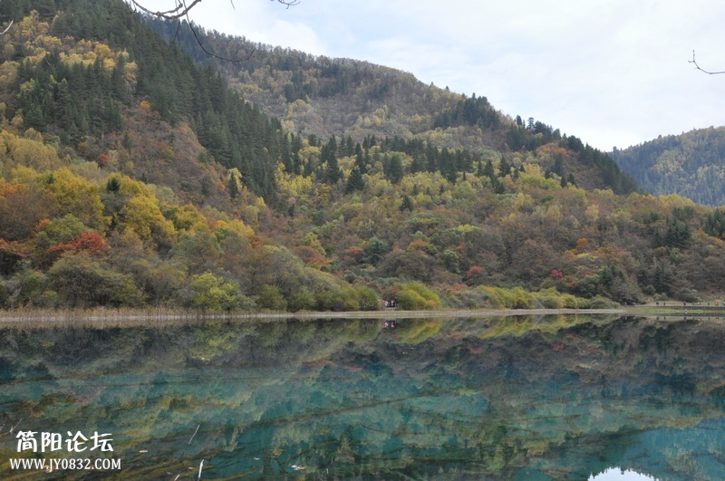 DSC_0179.jpg
