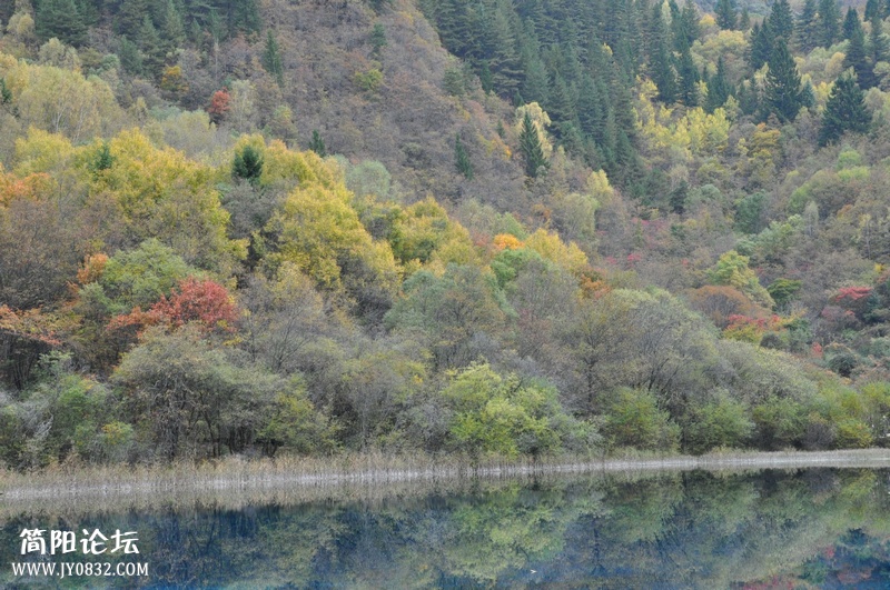 DSC_0181.jpg
