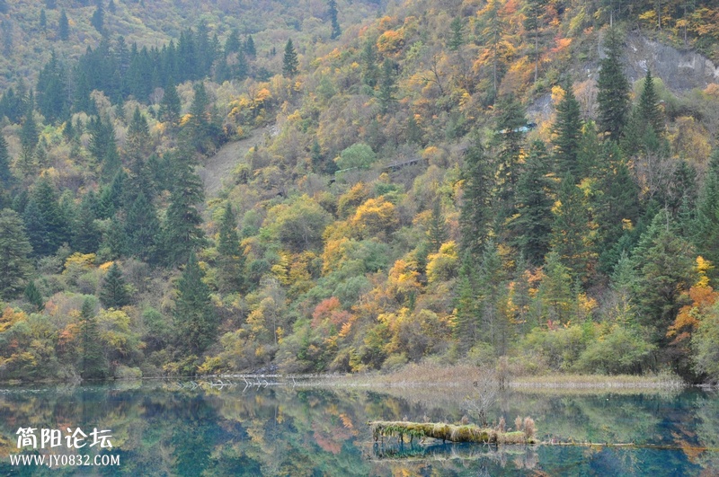DSC_0189.jpg