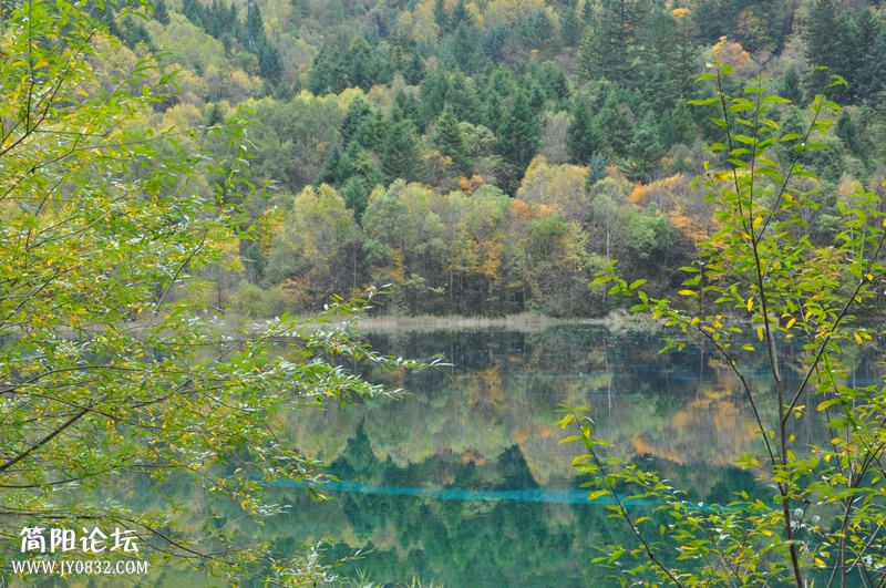 DSC_0199.jpg