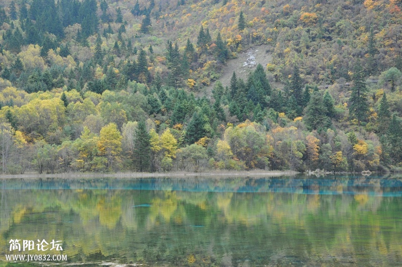 DSC_0205.jpg
