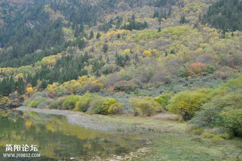 DSC_0209.jpg