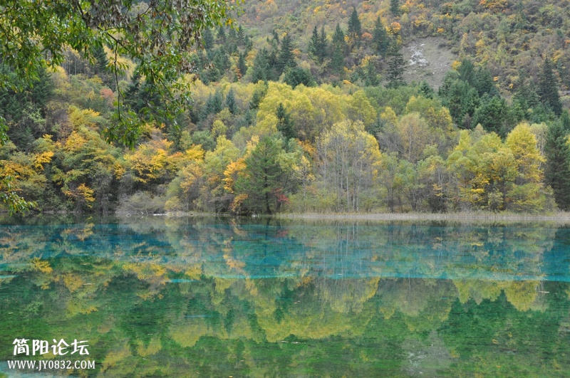DSC_0220.jpg